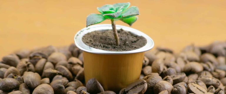 7 bonnes raisons de boire du café en capsules ou dosettes réutilisables !